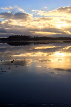 Jään päällä oli vettä, ja oli ihan pakko testata, kestääkö jää kiviä. Kuva: Karoliina Mäkelä