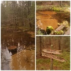 Monet miittiläiset kävivät lauantaina lampiseikkailulla. Kuva: Maaret Eklund.